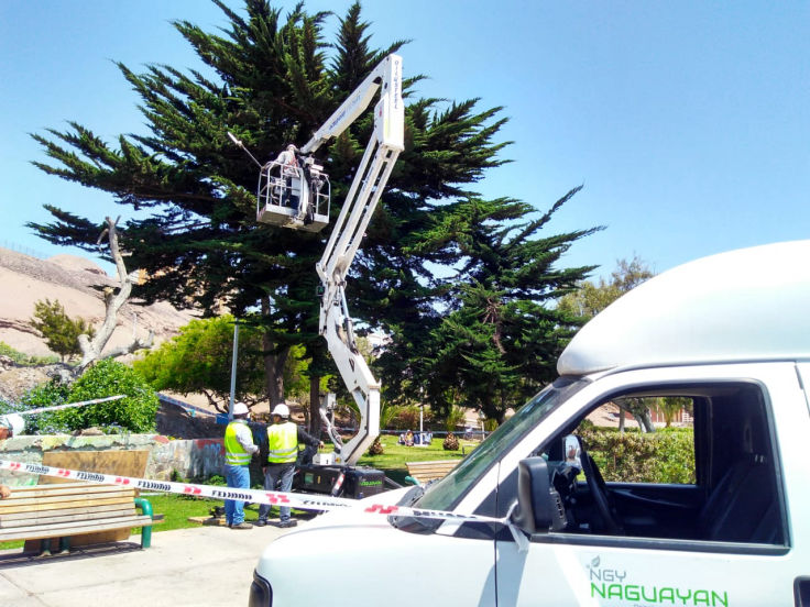 Mobirise